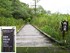 裏磐梯野鳥の森探勝路