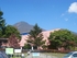 緑の村
